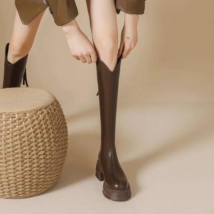 Thin Boots Women 2024 Autumn and Winter Outside Wear Suede Slim Thick Thick-soled Simple Design Trend with Knight Boots