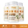 Olive Leaf Extract Capsules 250mg 120 Count — Antioxidant Support, Daily Wellness, Nutritional Support