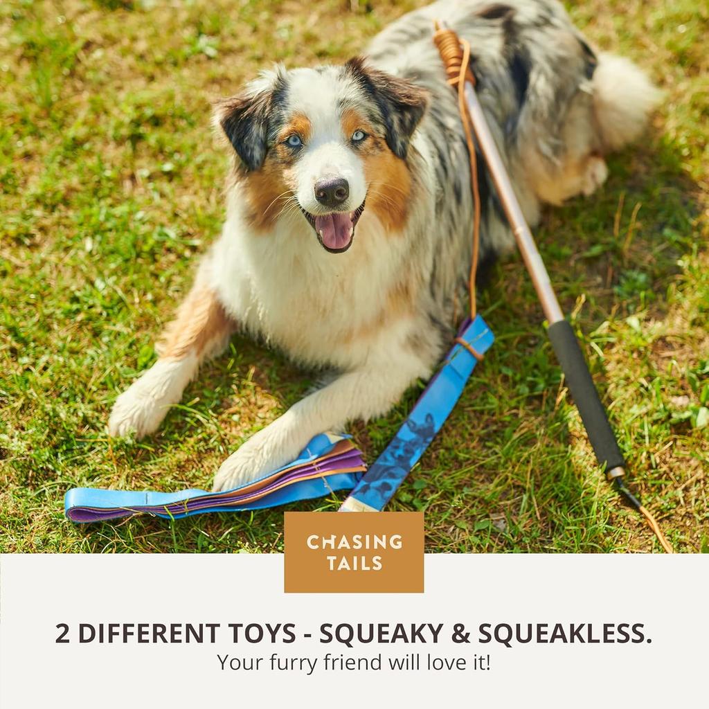 Flirt Pole for Small Dogs - 26 Inch with 70 Inch Rope and Two Toys -Interactive Play Equipment for Small and Medium Breeds - Durable and Fun Exercise