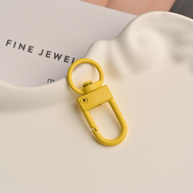 Colored Spray Paint Zinc Alloy Keychain Spring Clasp & Dog Buckle Jewelry Accessories