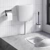 VidaXL Toilet Tank with Bottom Water Inlet Water Storage Tank with 2 Flush Buttons Restaurants 148008
