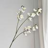 75CM Magnolia Artificial Flowers Multicolor Long Branch Flowers Elegant Fake Orchids  Home Display