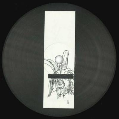 12-дюймовая пластинка GREMLINZ, JESTA - Альбатрос / Rrlco UVB76021 UVB-76 Music 2021 UK Танцевальная и Электронная