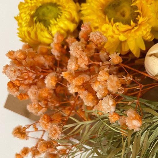 1 Bag Dried Flower Model Eye-catching Charming Smooth Surface Durable Fantastic Detailed Dried Flower Display for Kid