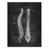 Human Anatomy Artwork Medical Clinic Wall Picture Skeleton Organ Muscle System Vintage Canvas Print Body Education Poster