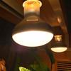 Amphibians Heat Lamp Heater Halogen Bulb UVA Light Basking Light Reptile