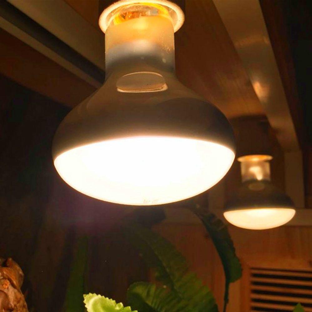 Amphibians Heat Lamp Heater Halogen Bulb UVA Light Basking Light Reptile