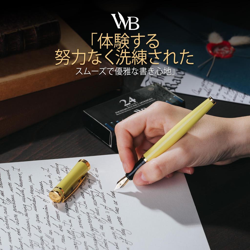 Wordsworth Black Fountain Pen 18K Medium Ink Ink Refill Converter Gift Gold Ideal for Men and Women & Set, Gold-Plated Nib, 24-Pack Cartridges, & Box,