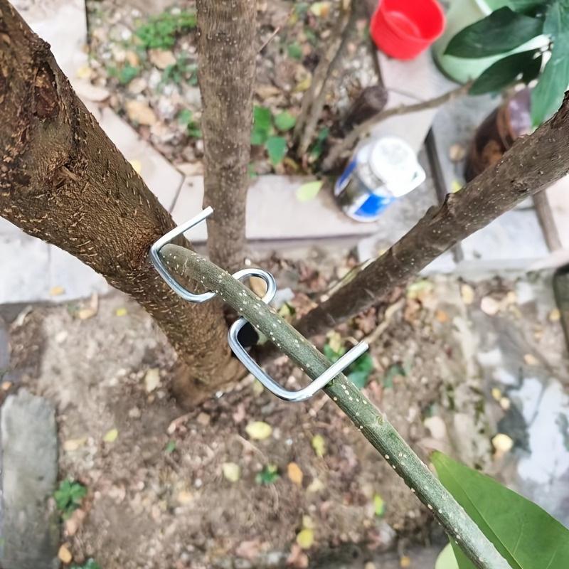 [50 шт. Металлический отгибатель ветвей] 50 шт. Прочный металлический инструмент для отгибания садовых ветвей - Многоразовый отгибатель ветвей фруктовых деревьев для формирования и тренировки деревьев