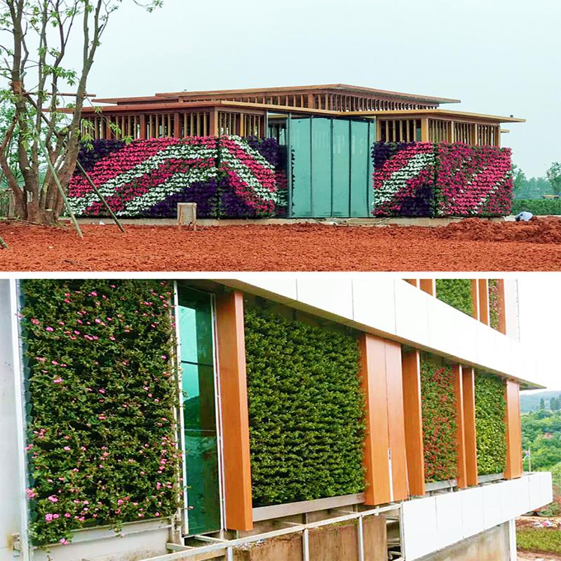 Сад Открытый Стена Растения Цветочный Горшок Контейнер Настенный Висит Вертикальный Зеленый