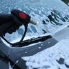 Адаптер для мойки высокого давления для Nilfisk Дания, короткий пистолет 4000 psi, для автомойки