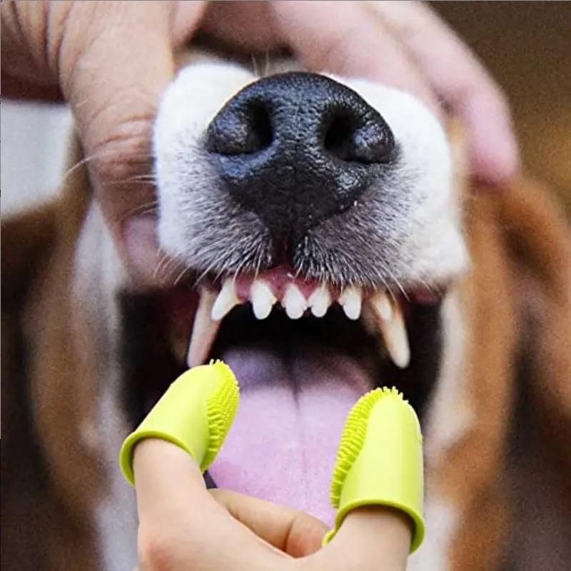 3pcs Dog Soft Double Finger Toothbrush Pet Teeth Clean Bad Breath Care TPR Tooth Brush Clean Tool Cats Toothbrush Accessories
