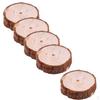 5pcs Blank Natural Wood Slices Circles Log Discs for Drawing