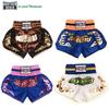 ANOTHERBOXER Multicolor Muay Thai and Kickboxing Training Shorts