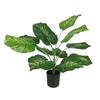 Potted Turtle Back Bonsai: Faux Floor Plant Decoration - Small Green Simulation Ornaments for Living Room