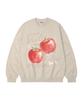 WILDROCK Свитшот оверсайз Too Apple_9 Col (Тип)