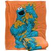 Painted Cookie Monster Blanket