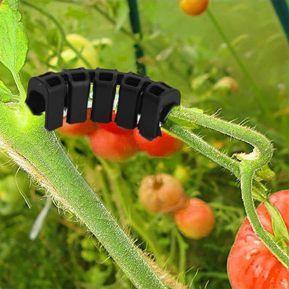 10/100 шт. зажим для поддержки изгиба растений, стебель цветка виноградной лозы, устройство для тренировки низкого давления, многоразовые инструменты для фиксации роста растений, садовые принадлежности