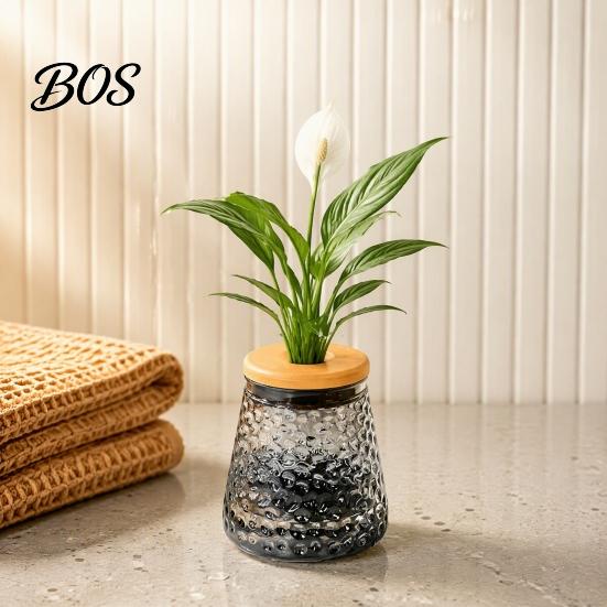 Clear Glass-Like Container Hydroponic Planter with Lid, Plant Propagation Station, Desktop Vase for Cuttings Flower Cuttings, Home Office Desk