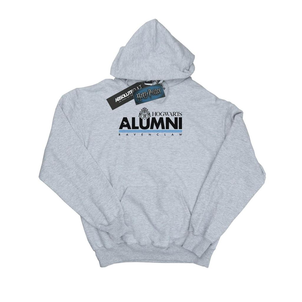 Harry Potter Boys Hogwarts Alumni Ravenclaw Hoodie