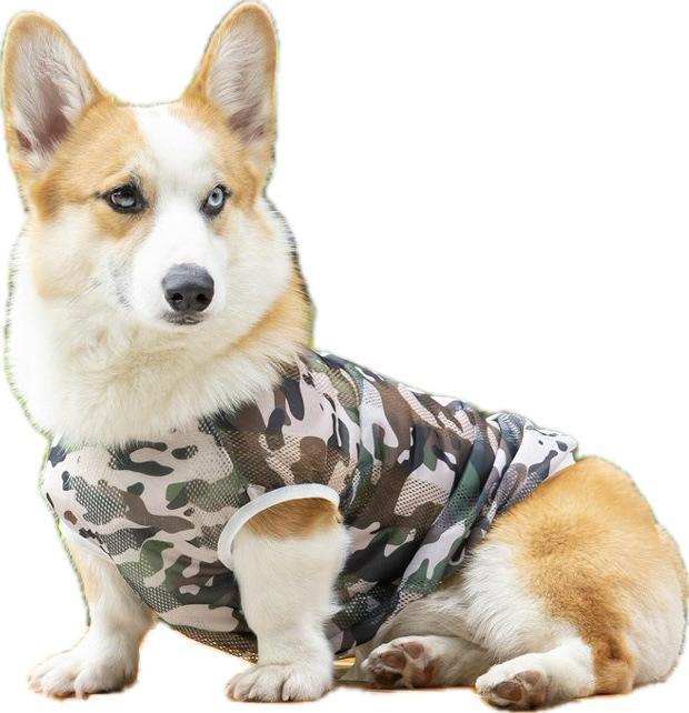 Дышащий сетчатый жилет для домашних животных на все времена года — подходит для маленьких, средних и больших собак: Французские бульдоги, корги, сиба-ину