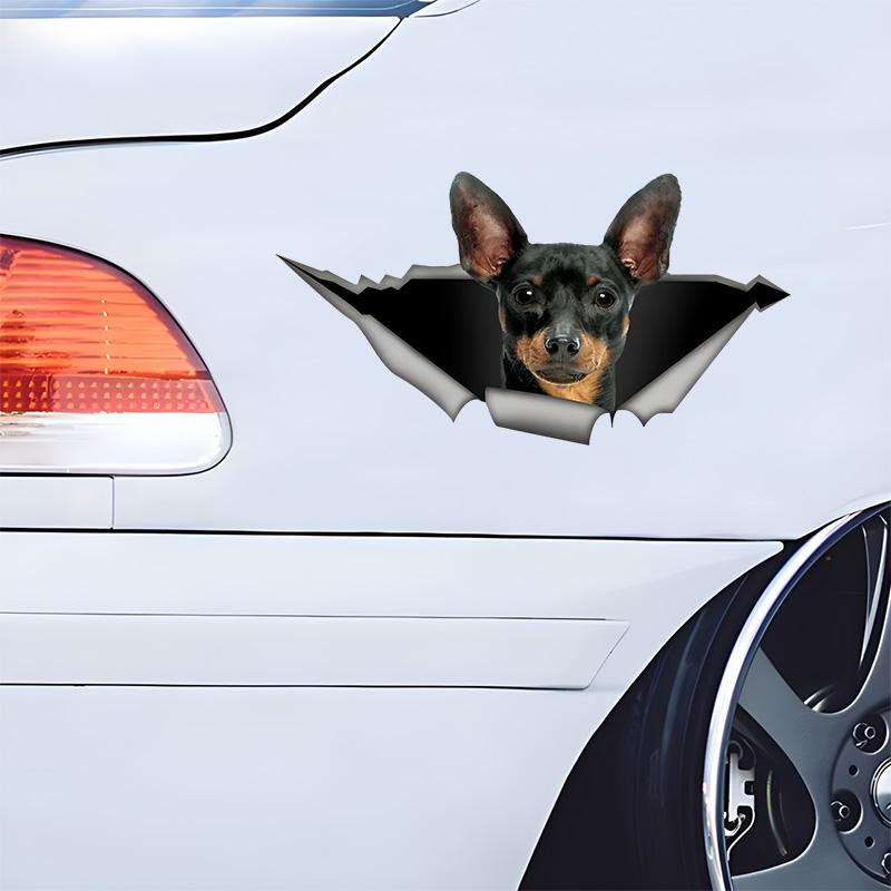 Cute Pinscher 3D Break the Wall Car Sticker, Waterproof Vinyl Material Accessories, Interesting Creativity For Cars, Trucks, Motorcycles, Walls
