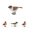 Animal Figure Desk Ornament With Static Design For Science Education And Bird Lovers