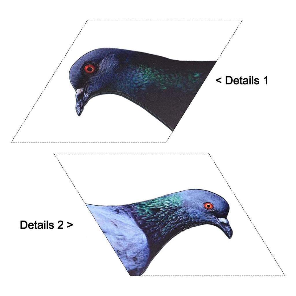 Garden Pigeon Outdoor Space Package Content Specifications