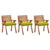 Day and Night - Day and Night Garden Dining Chairs with Cushions 3 Units Solid Acacia Wood