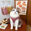 Floral Cat Clothes Polyester Cotton Kitten Apparel New Dog Vest  Pet Supplies