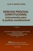 Книга Derecho Procesal Constitucional. Instrumentos Para La Justicia Constitucional