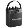 Портативная Bluetooth-караоке-колонка Newmine K519 (Китайская версия)
