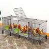 Многоярусная клетка для кур, уток и голубей с туалетом для свободного выгула