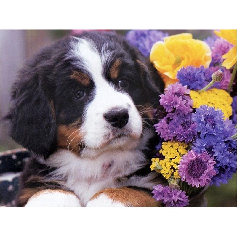 Новый 5D DIY алмазная живопись собака Алмазная вышивка животное вышивка крестиком полная квадратная круглая дрель ремесла домашний декор ручной художественный подарок