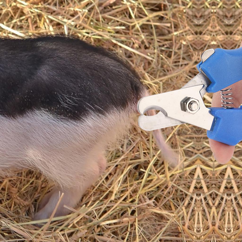 Tail Cutting Pliers Made of Metal with Cutting Tail, Easy to Use, Contracts Smoothly for Livestock Equipment