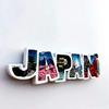 Japan 3D Refrigerator Magnet Craft Souvenir Resin Collection Travel Gift