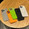 Чехол из ПК с узором «Личи» и кристаллическим объективом, совместимый с iPhone 16 Pro Max, Apple 17, Чехол для телефона 14/15, Премиальное ощущение