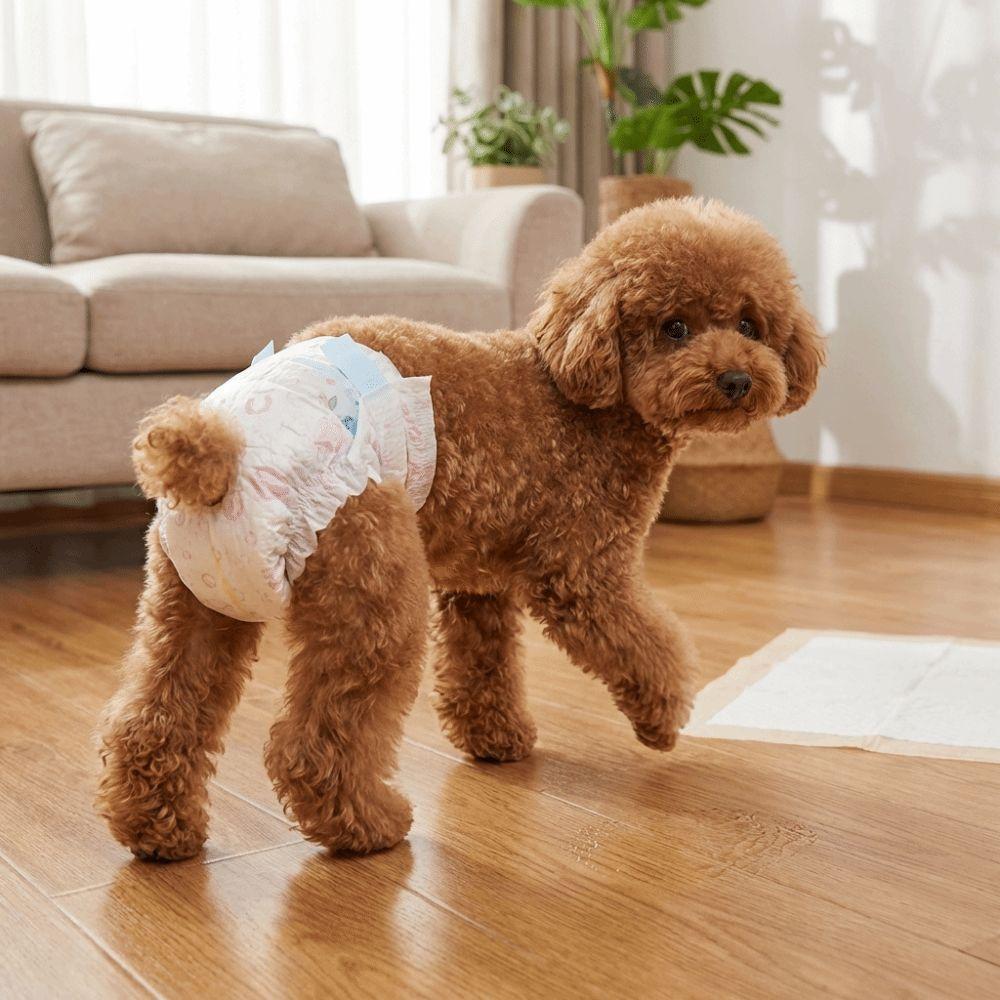 10PCS Breathable Female Dog Diapers Super Absorption Disposable Diapers Home Use
