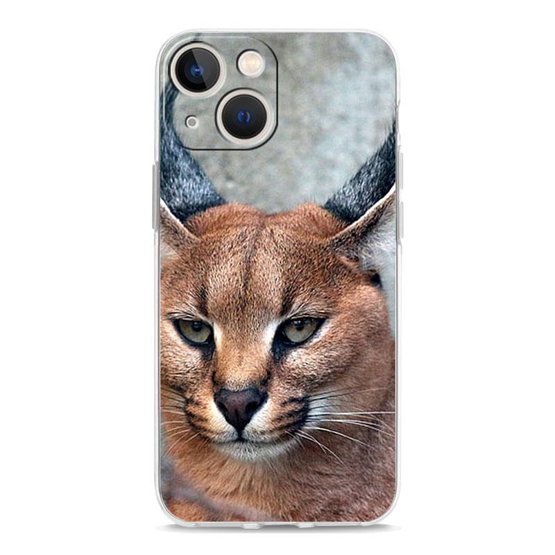 Чехол для телефона iPhone 17 Air Cases iPhone 16 15 12 13 14 Pro Max SE 7 8 Plus iPhone11 Прозрачный чехол Африканская рысь Каракал