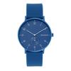 Часы SKAGEN AAREN Синие SKW6508 [Skagen] Мужские [Официальный импорт]