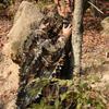 Hunting Camouflage Big Tree 2.0 Bionic Camouflage Cloak Camouflage Outdoor Photography Birding CS Game Tactical Suit