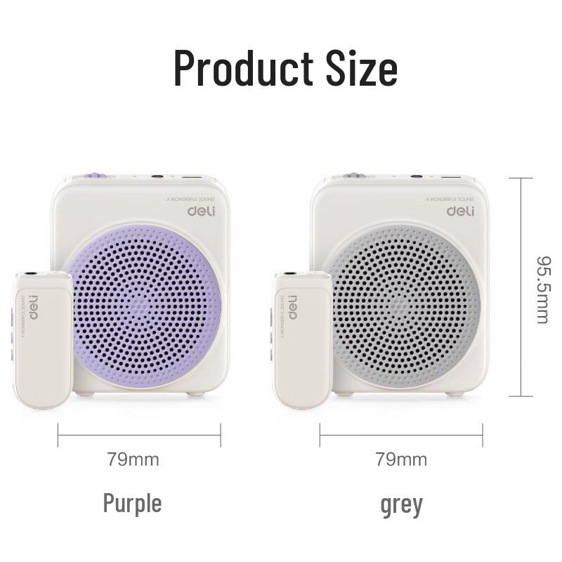 Deli LT902T 5W Portable Wireless Voice Amplifier CN plug (adapter included)