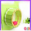 Silent Running Wooden Hamster Wheel - Sunflower Toy for Small Pets, Rainbow Color Ladder