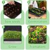 10Pcs Plastic Plant Growing Trays Reusable Bonsai Flowerpot Tray Seed Propagation Tray  Wheatgrass