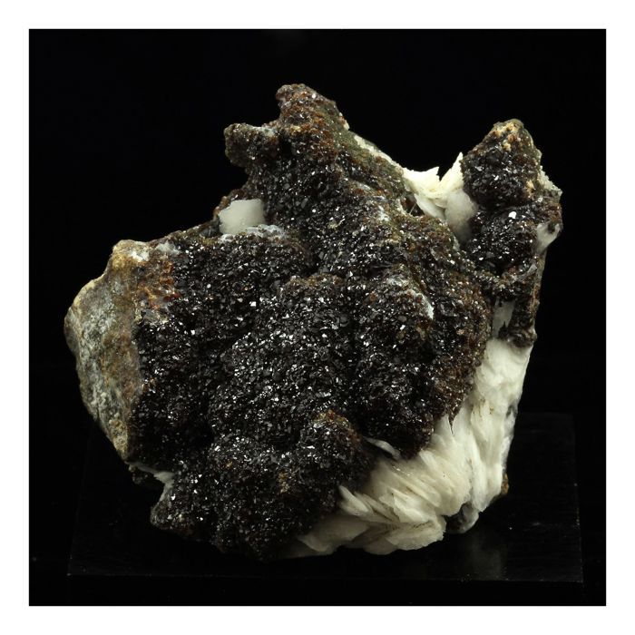 Pierres et Minéraux. Baryte + Sphalerite. 567.0 ct. Les Cèdres, Saint-Laurent-le-Minier, Occitanie, France.
