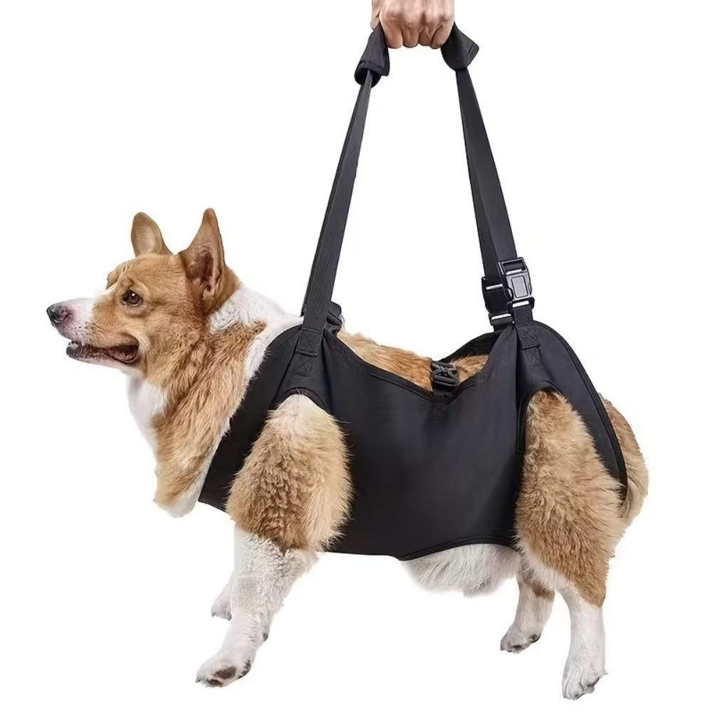 Adjustable Pet Backpacks Help with Carrying Dog Body Support Bag New Dog Lift Harness Injured Dogs