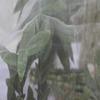 Сетчатый чехол для растений Ультратонкий водонепроницаемый Износостойкий Хорошая воздухопроницаемость Легко режется Садовая сетка Защитный барьер от вредителей Садовые принадлежности