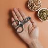 Stainless Steel Nuts and Seeds Picker Perfect for Sunflower Seeds, Almonds, Pecans, and More