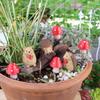 Miniature Statue Flower Pot Decoration, Cute Flower Pot Accessories Resin Statue, Suitable For Terrace, Courtyard, Decoration