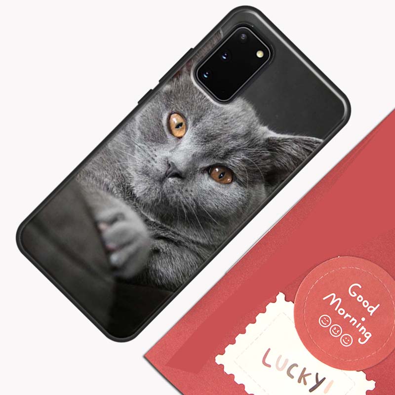 Красивый Серый Британский Короткошерстный Кот Чехол для Телефона Для Samsung Galaxy S26 S25 Ultra S20 S21 S22 S23 S24 S10 Plus S25 FE Cover Shell
